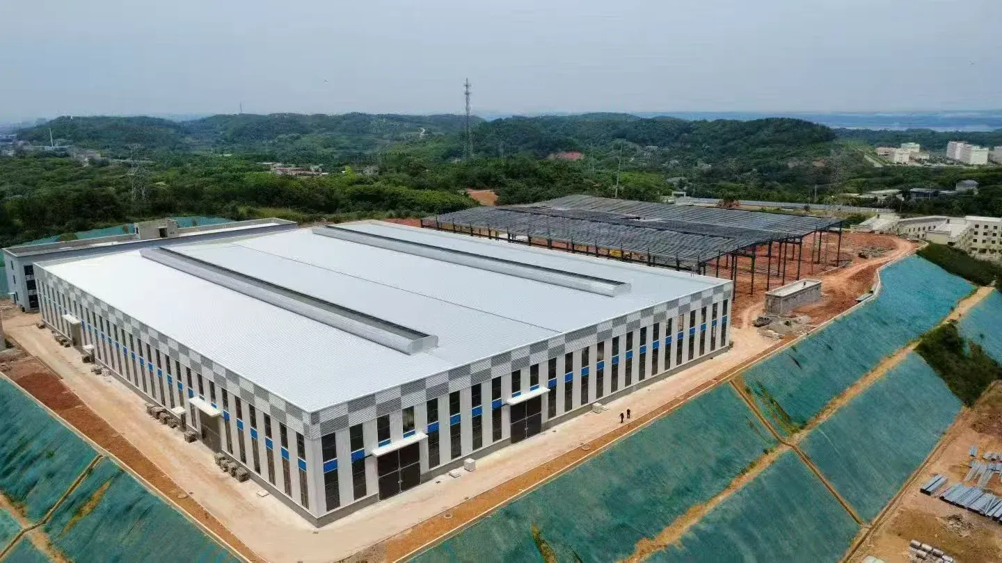 Steel Warehouse Building